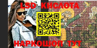 прущие грибы Обнинск