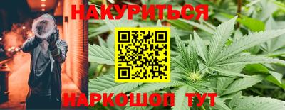 дмт Пенза
