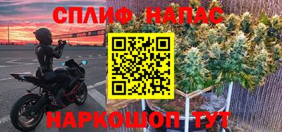 прущие грибы Обнинск