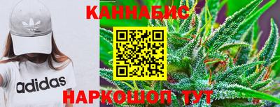 прущие грибы Обнинск
