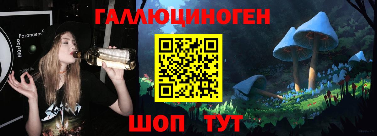 Галлюциногенные грибы Psilocybe Острогожск